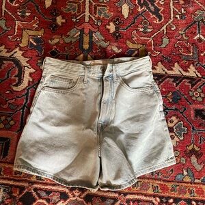 Everlane A Line Denim Shorts